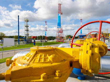 Германия заявила, что не зависит от поставок нефти и газа из России