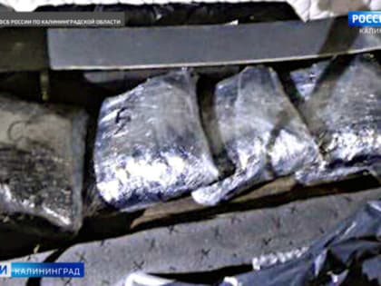 Пограничники обнаружили контрабандную партию янтаря на пункте пропуска «Чернышевское – Кибартай»