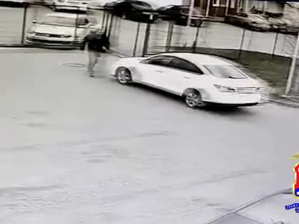 Таксист избил 84-летнего жителя Светлогорска (видео)