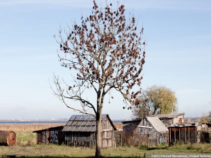 Региональный Минздрав: пока не удалось решить проблему с доступностью медпомощи в маленьких поселках