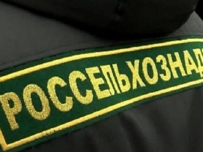 Калининградская область начинает экспорт подсолнечного шрота во Вьетнам