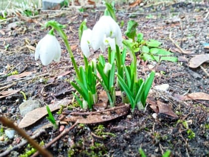 Сегодня первый день весны!