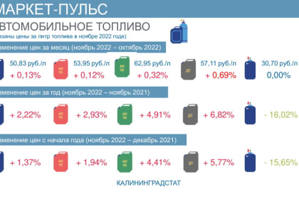 Дизельное топливо в Калининграде за год подорожало почти на 7%