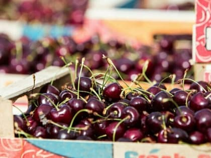 Молодильные ягоды существуют: врач назвала продукты, которые помогают организму восстановиться