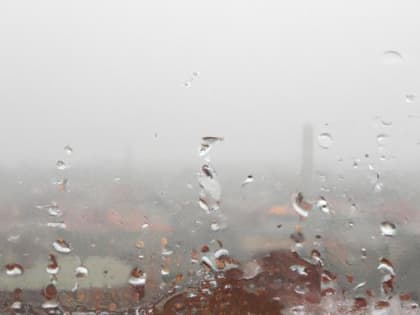 Дождь и мокрый снег: в Калининградской области ожидаются самые холодные апрельские выходные