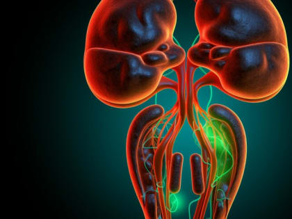 Нефролог объяснил, что могут означать частые походы в туалет по ночам