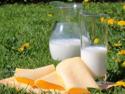 В Калининградской области на гранты для фермеров выделили 239 млн рублей