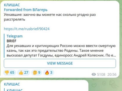 Клишас опустил слова Колесника: «Поток сознания»