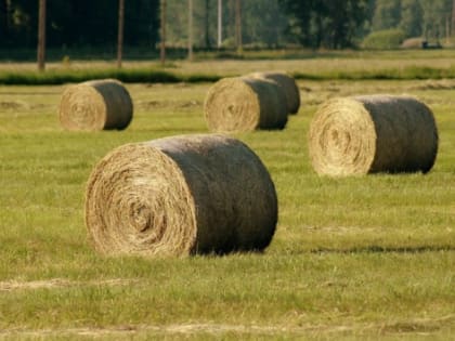 В Калининградской области общий объем инвестиций в АПК за 5 лет превысит 24 млрд рублей