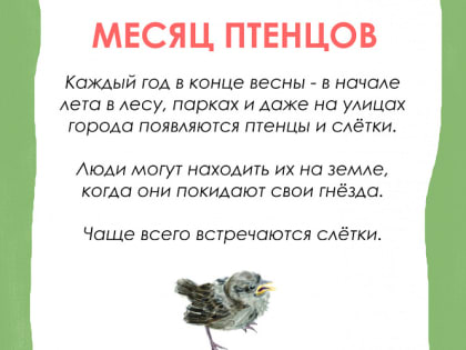 Слётки: кто такие и что с ними делать?