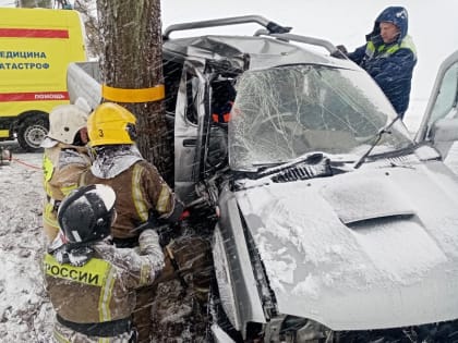 Пожарные МЧС пришли на помощь водителю, заблокированному в машине после ДТП (фото)