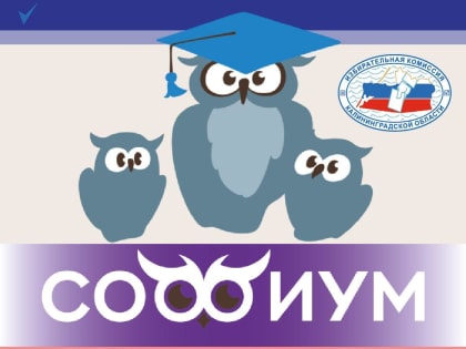 Софиум 2024–2025: Новый этап олимпиады