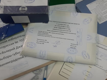 Калининград-Московская ТИК принимает документы от УИК, которые были образованы на судах