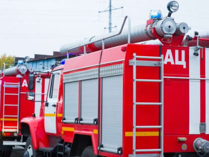 В садовом обществе Калининграда при пожаре пострадала женщина