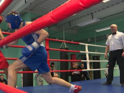 Сдвоенное региональное первенство по боксу провели в тренировочном зале областного Училища олимпийского резерва