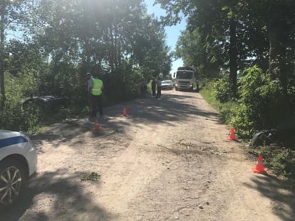 На просёлочной дороге под Калининградом чуть не погибли пятеро детей (видео)