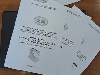 Областным избиркомом разработан ряд документов по обучению членов участковых избирательных комиссий