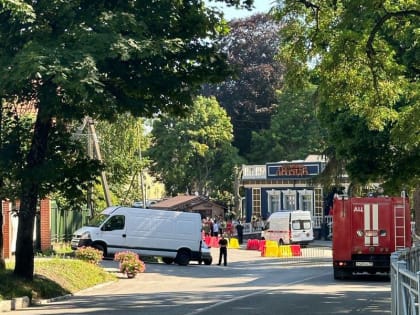 Очевидцы: в Янтарном во время Дня города загорелись провода ЛЭП (фото)