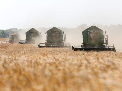 С начала года в Мексику экспортировали почти 60 тыс. тонн калининградской пшеницы