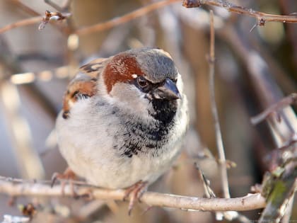 Ненастье и солнце: синоптики обещают улучшение погоды к концу выходных