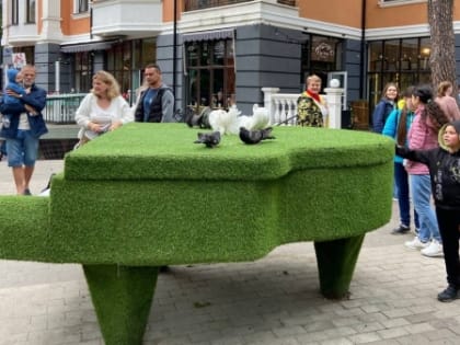 В городе-курорте на калининградском взморье орудовала банда, которая предлагала фото с голубями за деньги