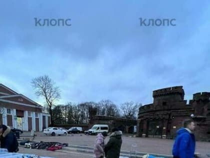 «Капец, колхоз развели»: на пешеходной Баранова снова возник блошиный рынок (фото, видео)