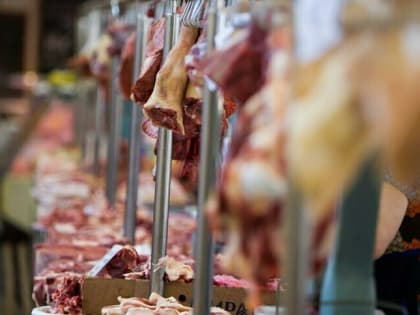 Диетолог рассказал, какой вид шашлыка самый вредный