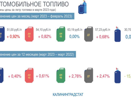 Калининградстат рассказал, на сколько подорожал бензин и подешевел газ