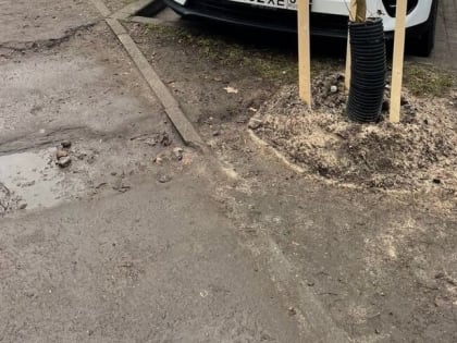 После жалоб на закиданные асфальтом саженцы на Черняховского власти решили отремонтировать тротуар