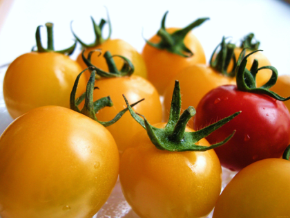 В Калининградской области уничтожили 2,4 тонны заражённых томатов из Турции