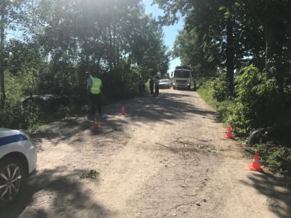 В Гурьевском округе «Мерседес» врезался в дереве: пострадали женщина и пятеро детей