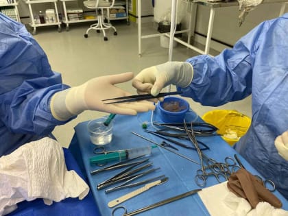 Современные технологии спасают жизни в Гусеве