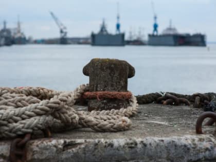Эксперт: Малая глубина у причалов не позволяет вывозить зерно из Калининграда в Африку
