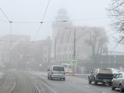 Калининградцев предупреждают о тумане утром в четверг