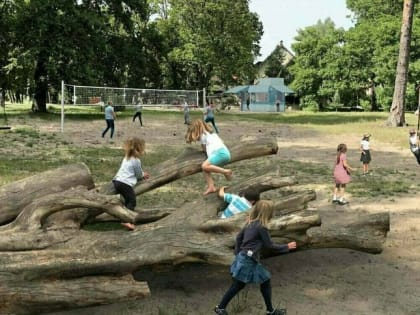 В Калининграде подрядчик не смог сделать проект благоустройства парка Теодора Кроне