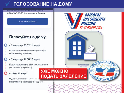 Подать заявление о голосовании на дому уже можно на портале «Госуслуги»