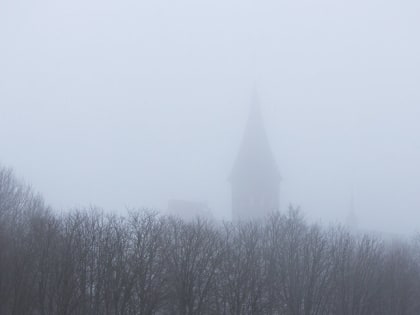 Дуб, мост, камень: 6 мистических мест Калининграда