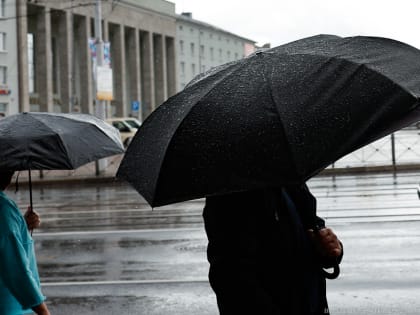 Калининградцам обещают прохладу и снег с дождем на выходных