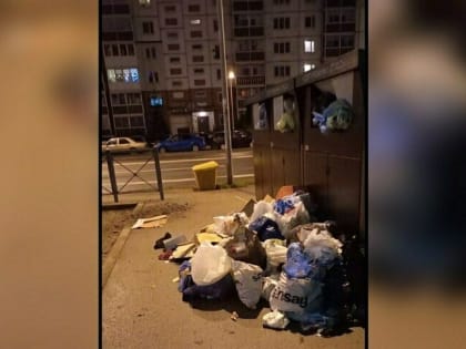 «Идёшь прямо по тротуару, а там мусорка»: жители Сельмы пожаловались на установку баков