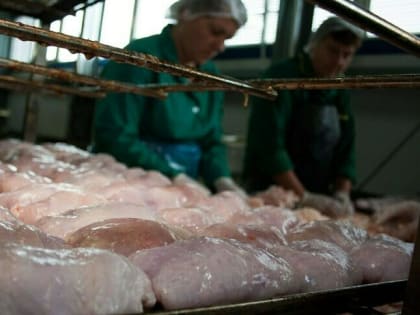 В Калининградской области курица стала дороже свинины
