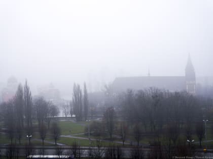 Метеорологи предупреждают автомобилистов о сильном тумане в Калининградской области