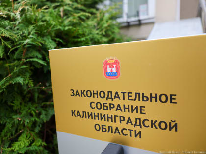 Калининградские депутаты поддержали закон о публикации обезличенных деклараций