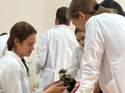 Качество сельскохозяйственной продукции: важность экспертизы и производства