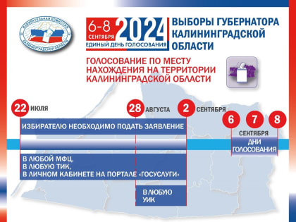 С сегодняшнего дня избиратели уже могут подать заявление для голосования по месту нахождения и для участия в дистанционном электронном голосовании