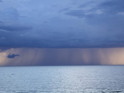 Погода в Калининграде 11 июля