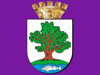 На западе Калининградской области муниципальный депутат утратил доверие