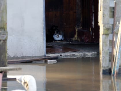 Эксперт: уровень воды в калининградских реках далек от рекордного