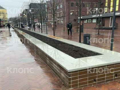 На Баранова отремонтируют ещё три лавки-вазона (фото)