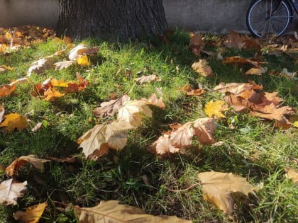 Новые технологии в образовании: Влияние цифровизации на обучение