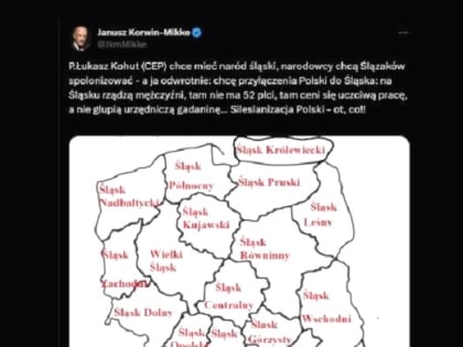 Параллельные реальности европейских политиков